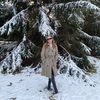 ana_lisanin